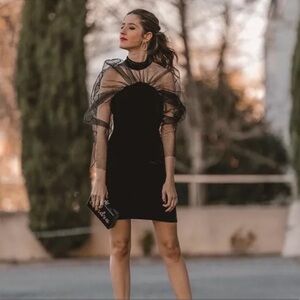 Elegant Black Mesh Sleeve Dress